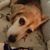 Elaine Dean's profile image