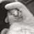 Janet Tienken's profile image