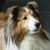 Tracy Albert's profile image
