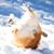 Cyd Hengge's profile image