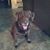 Billy Dinkel's profile image