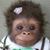 Judy Ann's profile image