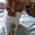 Cecili Baldauf's profile image