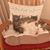 Maria C Yusty's profile image