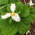 Julie Ann Olson's profile image