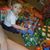 Mary Frayer's profile image