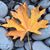 Charlie Comstock's profile image
