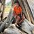 Mark Clark's profile image