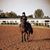 Karen Beers-Frates's profile image