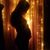 Brittany Donkle's profile image