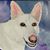 Patricia Barnett Grabill's profile image