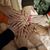 Maria Tapia's profile image
