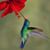 Lee Anne Caputo's profile image