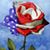 Dottie Hinkson's profile image