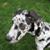 Barbara Radcliff's profile image