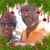 Dorothy Williams's profile image