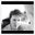 Jason Chick's profile image