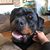 Sabrina Waun's profile image