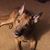Lucy Heald's profile image
