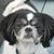 Julie Mulvey's profile image
