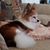 Glenda Croley's profile image