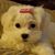 Lorraine Bray's profile image