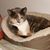 Pat Colby's profile image