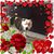 Schelly Stailey Hayes's profile image