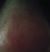 Samantha Twist's profile image