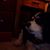 Jodi Holda's profile image