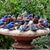 Linda Morrison Donley's profile image
