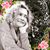 Carol A. Mambruno's profile image