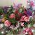 Cathlene Wells's profile image