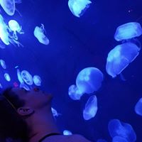 Erin James Keenan's profile image