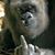 Ed Cartwright's profile image