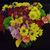 Sheila Balch Lowery's profile image
