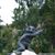 Ryan Semmel's profile image