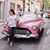 Susie M Canino's profile image