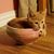 Diane Patricia Karohl's profile image