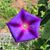 Tammy Parks Myers's profile image