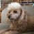 Millie Brown's profile image