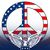 Bernadine Srocki's profile image