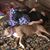 Cody Shane Johnson's profile image