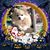Debbie Wilson's profile image
