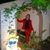 Nancy Bueno's profile image