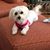 Janet Jarriel's profile image