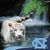 Troy Westfall's profile image