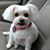 Pam Edwards VanderWielen's profile image