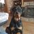 Dorothy McFedries's profile image
