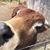 Bryon O'Neal's profile image